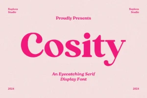 Cosity - Display Serif Font