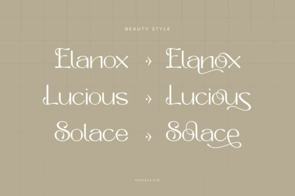 Saloums - Modern Serif Font