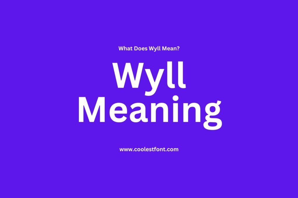 What Does Wyll Mean