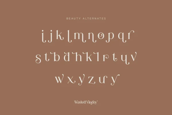 Wasted Vindey - Classy Serif Font - Image 10