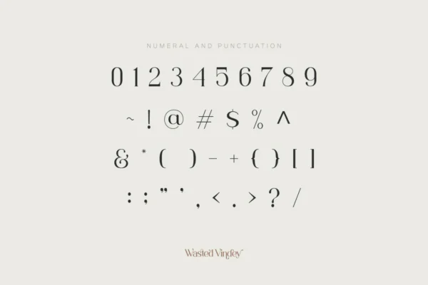 Wasted Vindey - Classy Serif Font