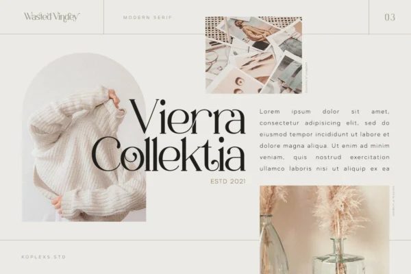 Wasted Vindey - Classy Serif Font - Image 8