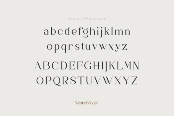 Wasted Vindey - Classy Serif Font - Image 9