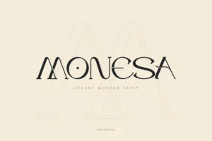 Monesa - Luxury Modern Serif Font