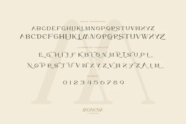 Monesa - Luxury Modern Serif Font - Image 10