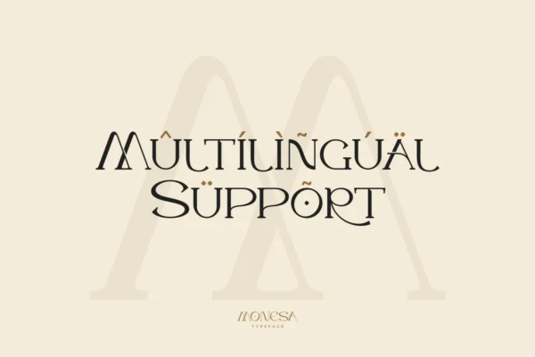 Monesa - Luxury Modern Serif Font - Image 11