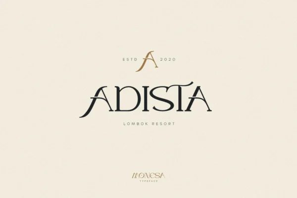 Monesa - Luxury Modern Serif Font - Image 2