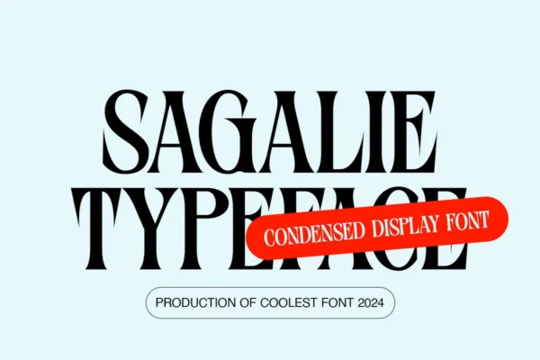 Sagalie – Display Serif Font - Image 11