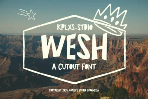 Wesh a Cutout font