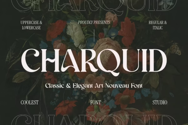 Charquid Font