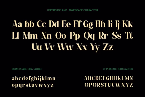 Dasko Serif Font