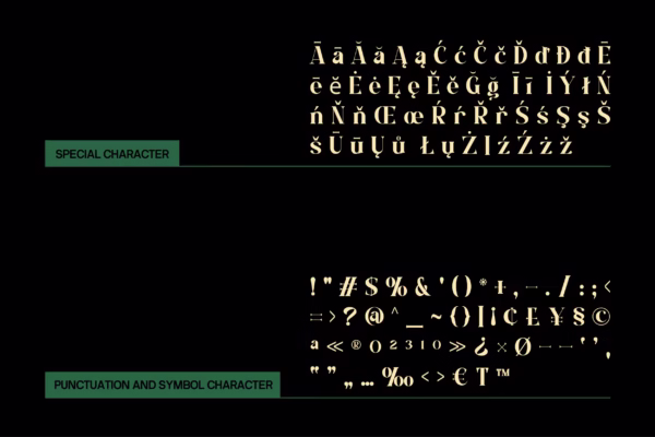 Dasko Serif Font