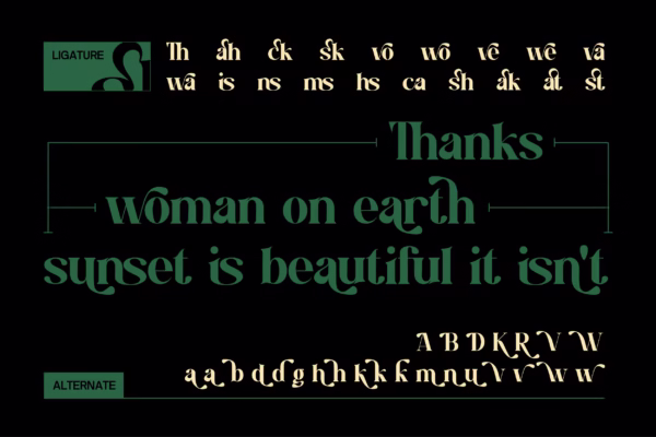 Dasko Serif Font