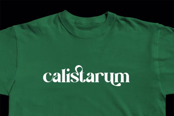 Dasko Serif Font