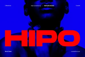 Hipo Font