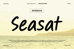 Handwritten Display Font